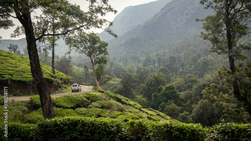 Driving through Tea plantations in Munnar, Kerala, India