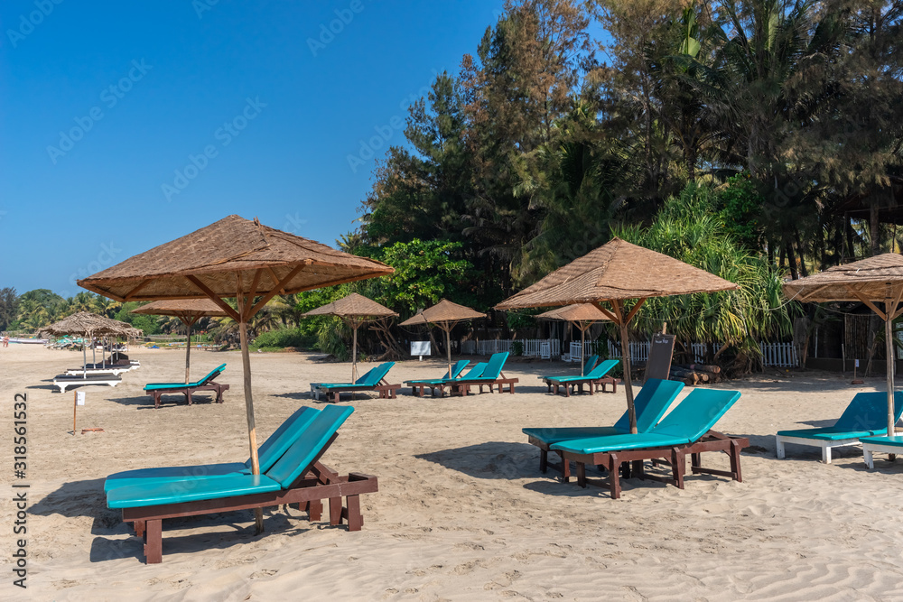Tropical paradise. Sun loungers and beach umbrellas on the sandy beach. Recreation Relax Resort  lounge zone. Rows of sun loungers on the Arabian sea shore for tourists. India, Goa. 