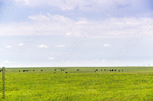 Flint Hills