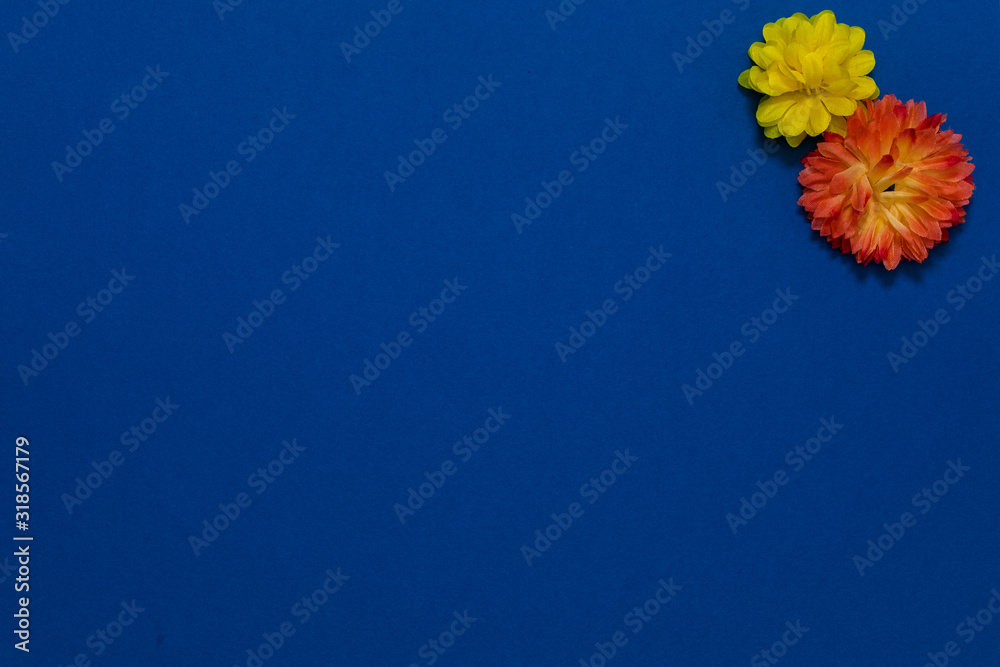 初春の花と青の背景stock Photo Adobe Stock