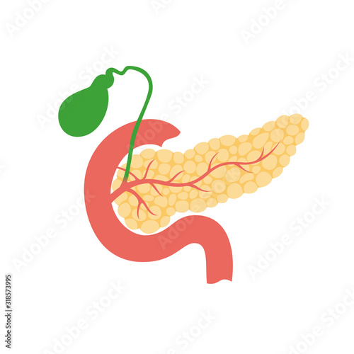 pancreas and gallbladder