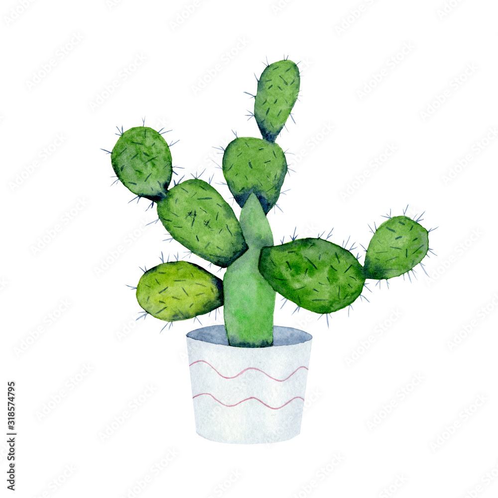 Watercolor illustration of prickly pear cactus in flowerpot. High quality  hand painted succulent plant. Perfect cactus element for your project,  cover, wallpaper, pattern, packaging. Stock Illustration | Adobe Stock