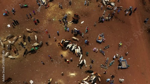 Africa Mali Village and Cattle Market Aerial View 5