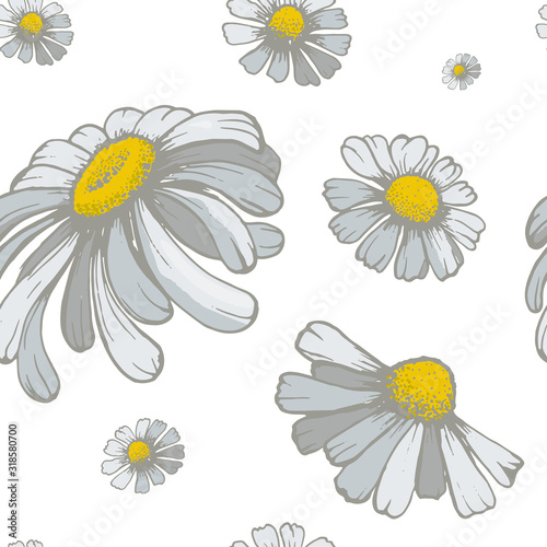 Floral seamless pattern with daisies on white background for Wallpaper, greeting card, gift box, textile printing.