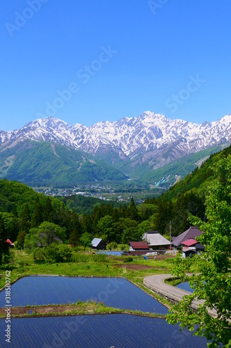 青鬼地区より白馬村と北アルプスを望む。長野、日本。5月下旬。