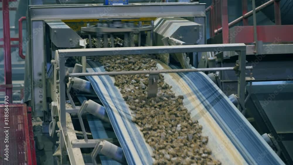Chopped rocks are moving along the processing machine Chopped rocks are moving along the processing machine