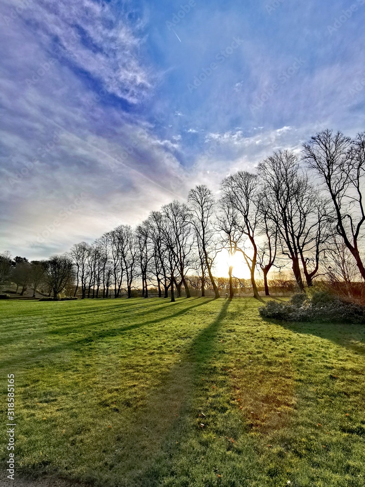 The sunshine, shining through the bare trees. Avenham and Miller Park, Preston 