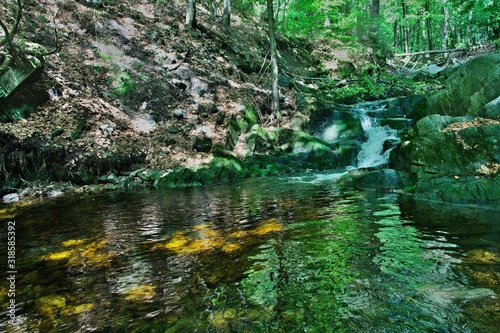 Fototapeta Naklejka Na Ścianę i Meble -  Czech Republic-view of Cernohorsky creek from Luisina path in Giant Mountains