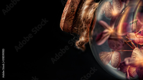 Fototapeta Naklejka Na Ścianę i Meble -  Dried flowers inside the glass bulb