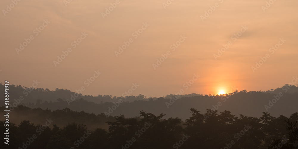 sunrise among trees with a dense fog at Jetkod-Pongkonsao Natural Study in Saraburi Thailand