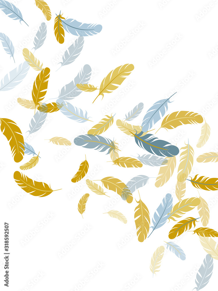 Flying feather elements airy vector design. Flying feather elements airy vector design.