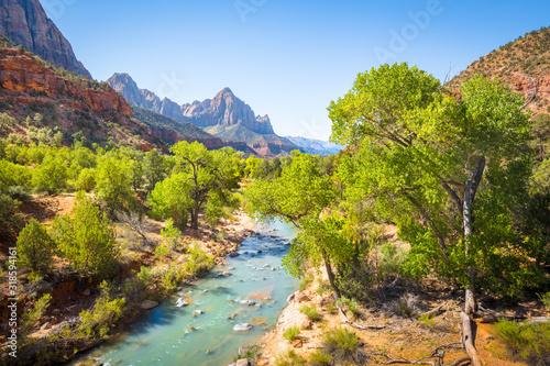 Zion National Park scenery with The Watchman peak and Virgin river in summer, Utah, USA photo