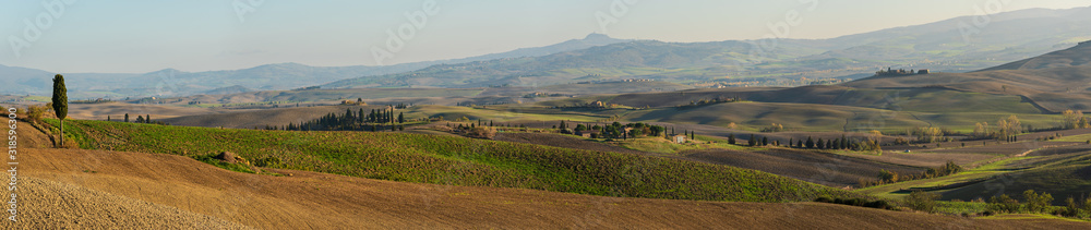 Wavy fields in Tuscany