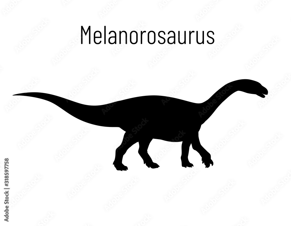 Obraz premium Melanorosaurus. Sauropodomorpha dinosaur. Monochrome vector illustration of silhouette of prehistoric creature melanorosaurus isolated on white background. Stencil. Huge fossil dinosaur.