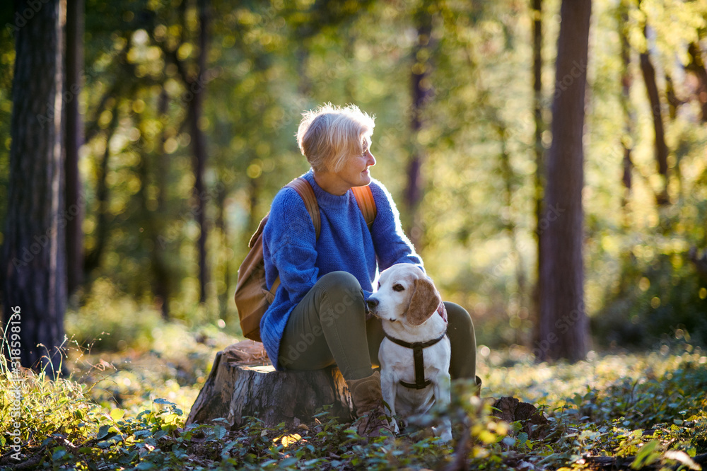 Fototapeta premium A senior woman with dog on a walk outdoors in forest, resting.