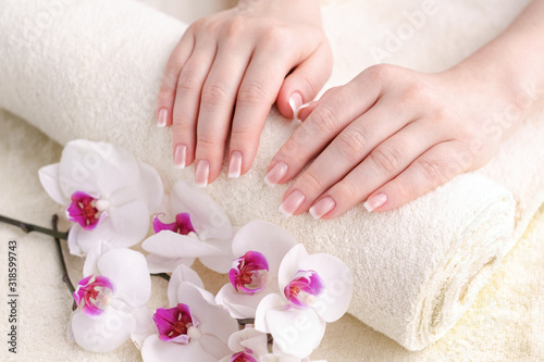 Nails with french manicure. Beautiful female hands with an orchid. Well-groomed skin and nails. Beauty and health concept.