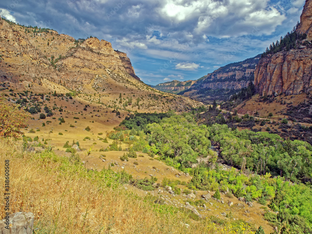 View of Tensleep Canyon in the Bighorn Mountains of Wyoming, U.S.A.