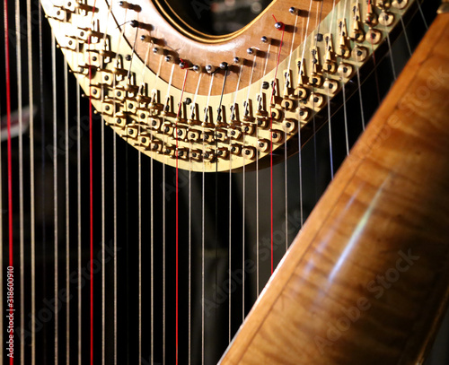 Fényképezés Close-Up Of Harp