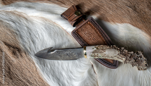 Whitetail deer hides make a nice backdrop for a deer antler damascus blade gut hook knife and leather sheath. Bokeh. photo