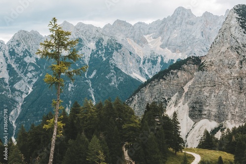 Alps mountains tranquil summer view from Julian Alps, Slovenia.