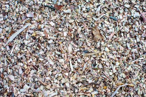 Closeup of a pile of wood chips photo