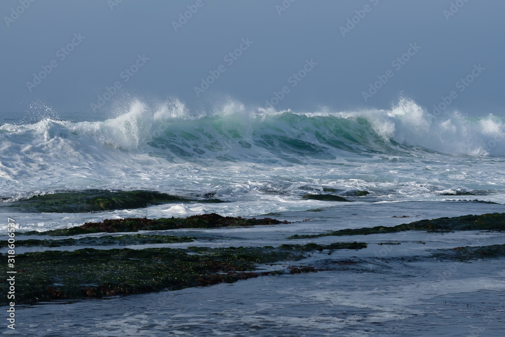 Pacific coast of the USA. Exotic landscape, rich flora and fauna and big waves.