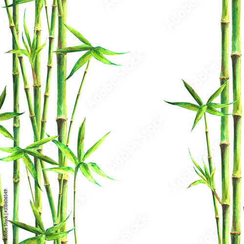 Fototapeta Naklejka Na Ścianę i Meble -  Bamboo forest spa watercolor hand drawn background.