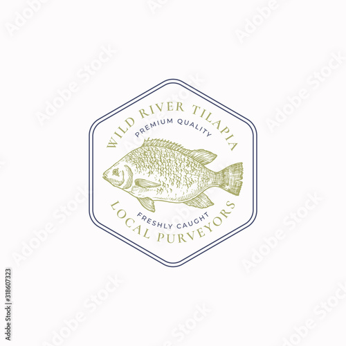 Fish Vintage Frame Badge or Logo Template. Hand Drawn Wild Tilapia Sketch Emblem with Retro Typography.