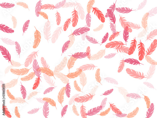 Detailed majestic feather on white design.