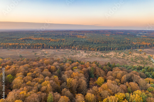 Aerial drone shot of pine tree forests and heathland in Luneberg Heide in Germany during sunset hour photo