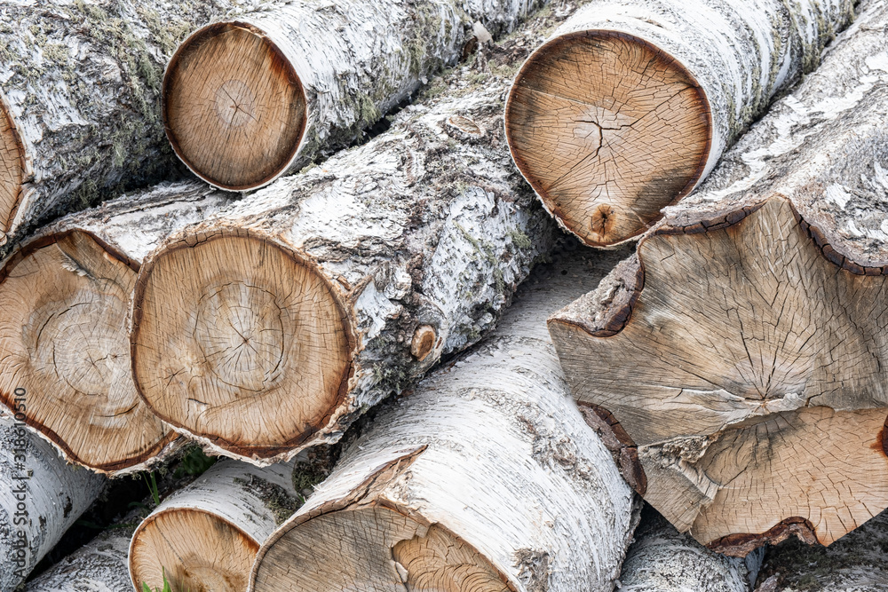 pile of wood logs