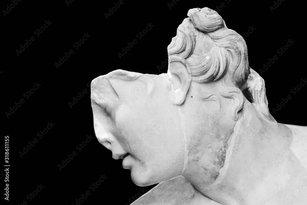 Fototapeta Detail of classical roman statue of female head in ruins - black and white photo