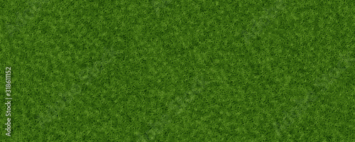 3d material green grass texture