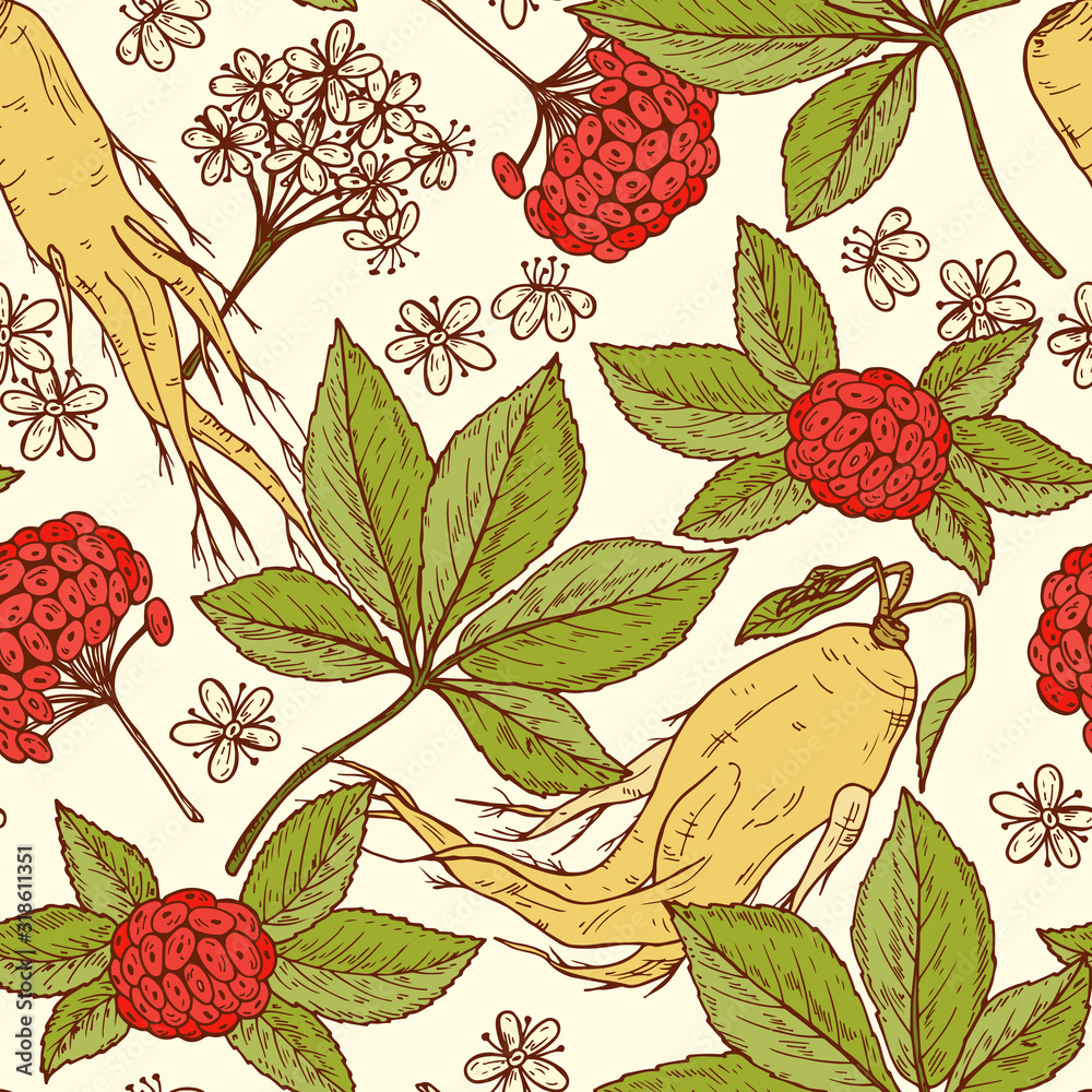 Pattern with Medicinal plants Set. Root, Leaves, Berries and Flowers Panax Ginseng. Alternative medicine. Biological additives. Traditional herbal therapy. Vector illustration Pattern with Medicinal plants Set. Root, Leaves, Berries and Flowers Panax Ginseng. Alternative medicine. Biological additives. Traditional herbal therapy. Vector illustration