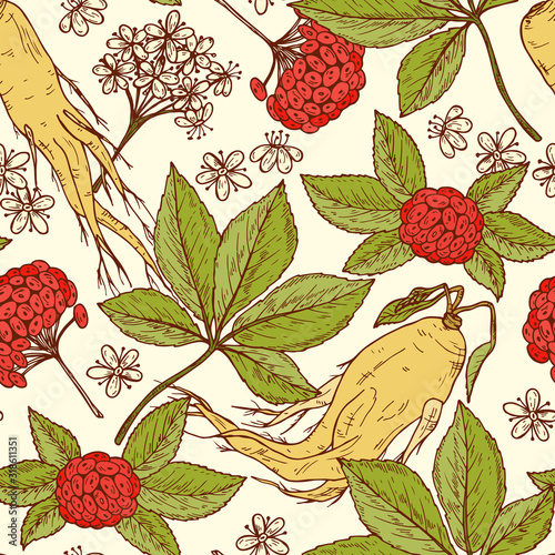 Pattern with Medicinal plants Set. Root, Leaves, Berries and Flowers Panax Ginseng. Alternative medicine. Biological additives. Traditional herbal therapy. Vector illustration