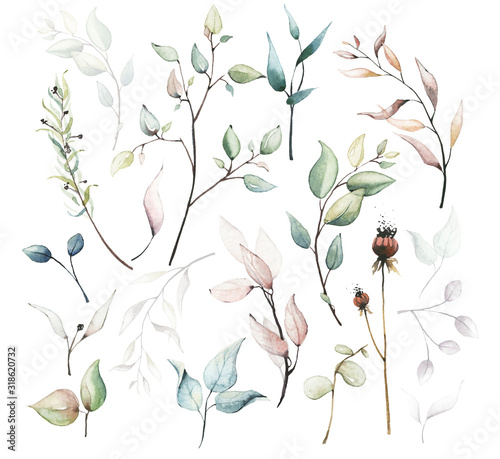 Watercolor painted floral set of dried flowers  leaves  branches  eucalyptus etc. isolated on white background.