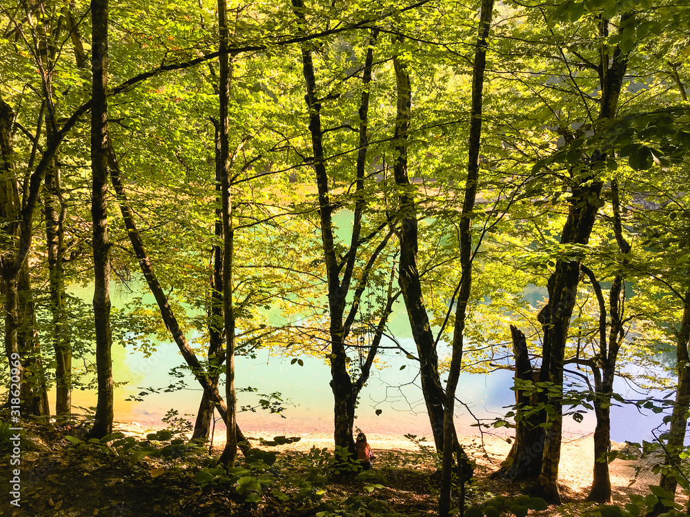 Woman enjoying beautiful lake scenery in the forest near the lake Woman enjoying beautiful lake scenery in the forest near the lake