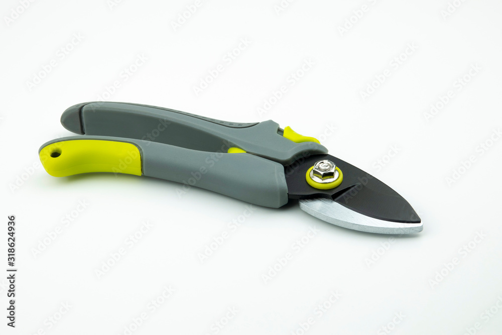 Obraz premium tree scissors isolated on white background