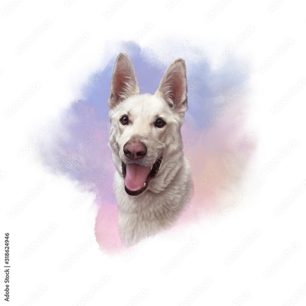 Portrait of White Korean Jindo Dog on watercolor background. Hand painted illustration of a Hunting Dog. Animal art collection: Pets. Design template. Good for print T-shirt, pillow, pet shop, nursery