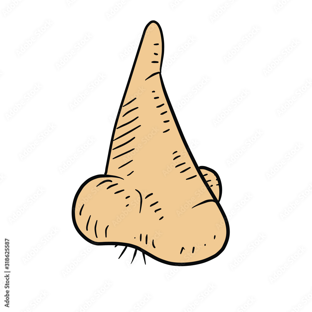 a human nose, detailed icon or vector illustration of a male nose with hair. a human nose, detailed icon or vector illustration of a male nose with hair.