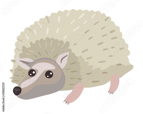 Little gray hedgehog. Vector cartoon flat illustration