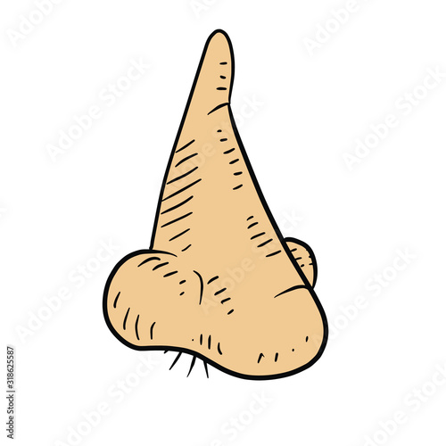 a human nose, detailed icon or vector illustration of a male nose with hair. 
