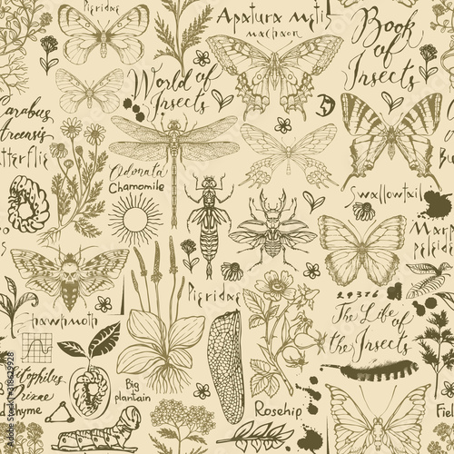 Wallpaper Mural Vector seamless pattern with insects and medicinal herbs in retro style. Hand-drawn herbs, butterflies, beetles, sketches and inscriptions on an old paper background. Wallpaper, wrapping paper, fabric Torontodigital.ca