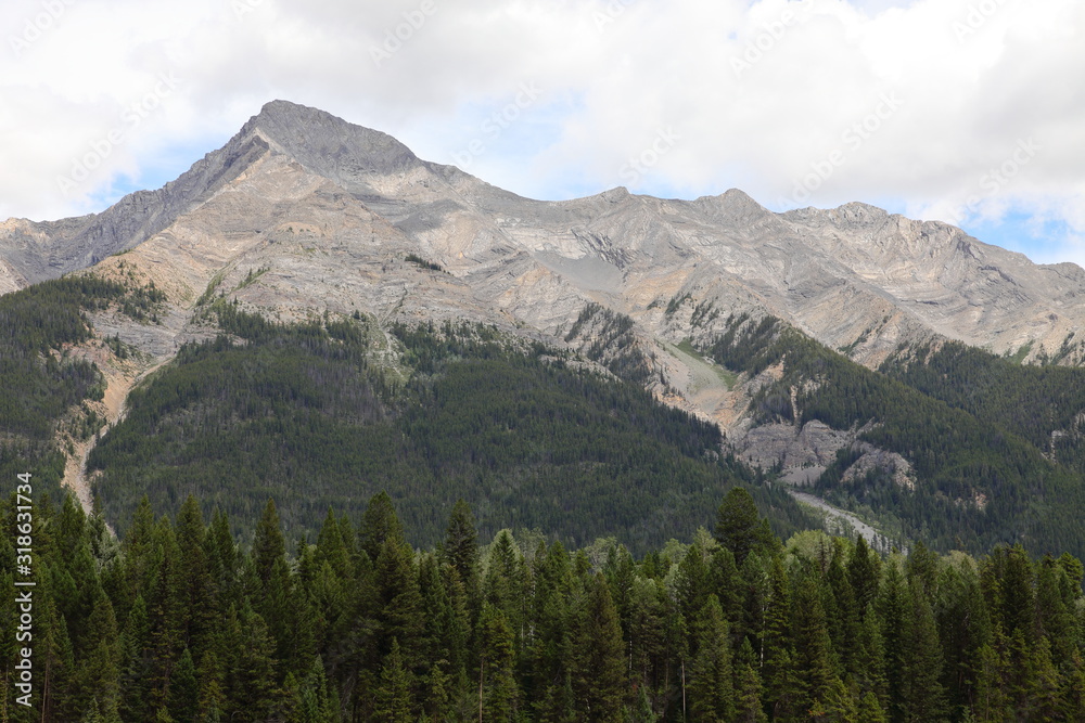 Rocky Mountains landscape with snowy summits, pine trees forests in Canada, British Columbia, West coast