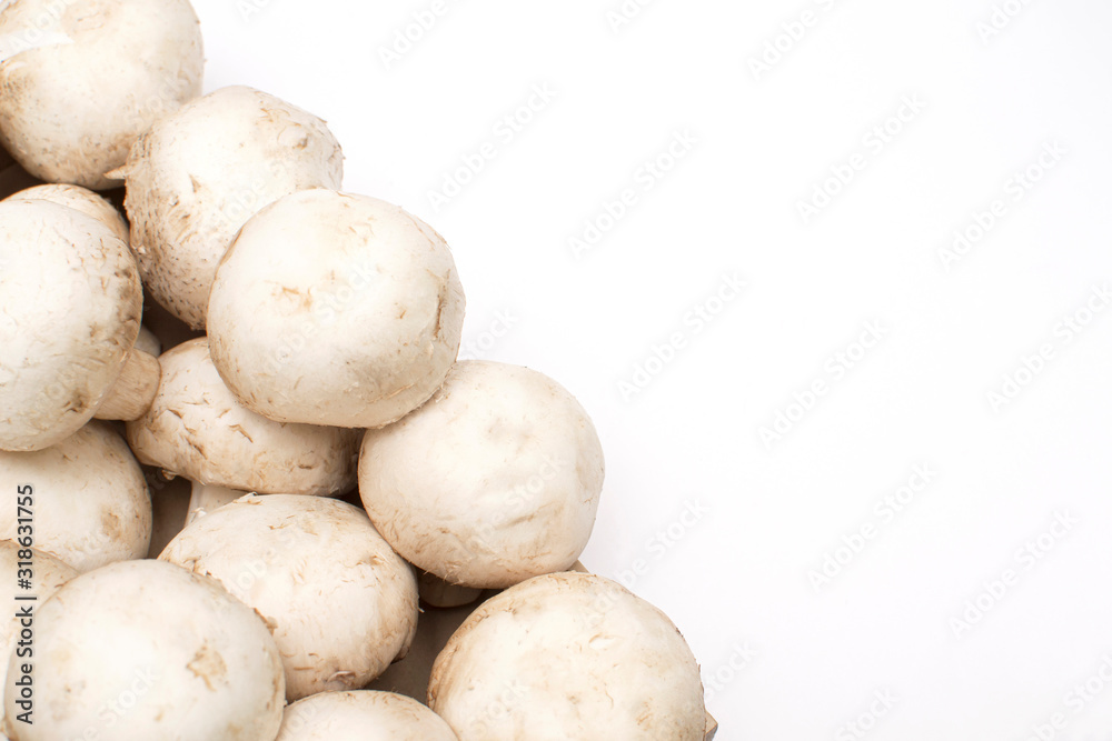 fresh mushrooms on an isolated white background, there is a place for copy