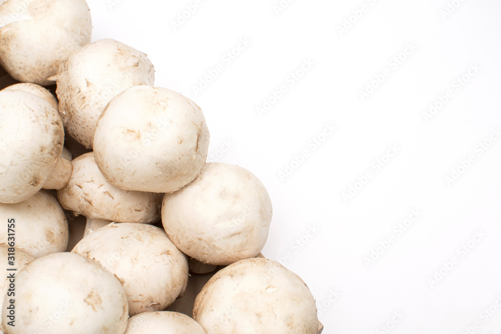 fresh mushrooms on an isolated white background, there is a place for copy fresh mushrooms on an isolated white background, there is a place for copy
