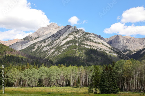 Rocky Mountains landscape with snowy summits, pine trees forests in Canada, British Columbia, West coast