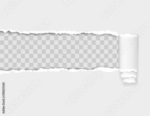 torn paper edge vector illustration