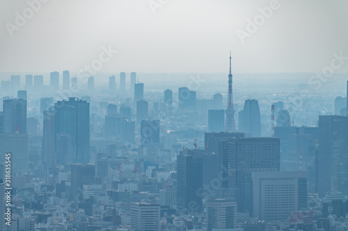 Quadro su tela dust during daytime in a very polluted city - in this case Tokyo, Japan