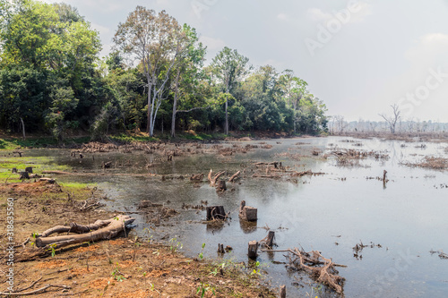 Indochina Discovery jungles of Angkor, Cambodia photo